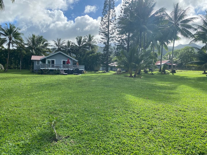 JJ’s Hāna Hale - Farm Style Cottage STHA2021/0001