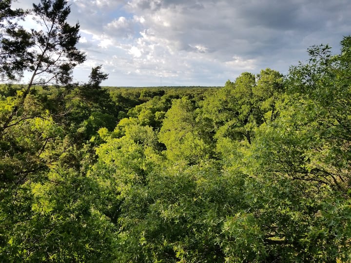 Little House with a View