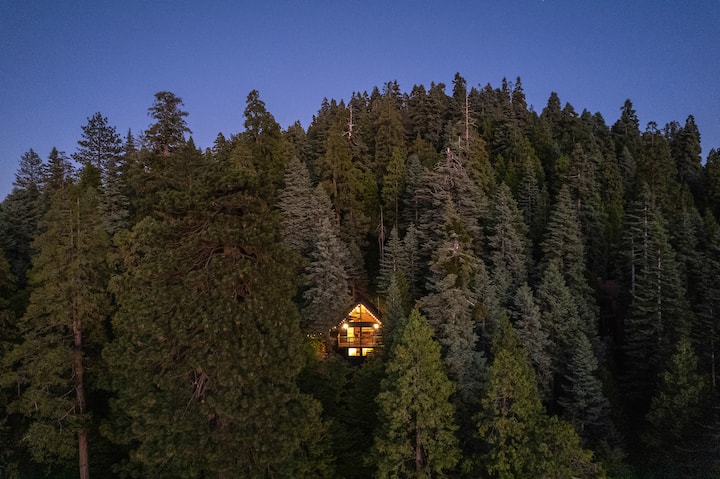 Epic Lake Views Lake Arrowhead Cabin in the Woods!