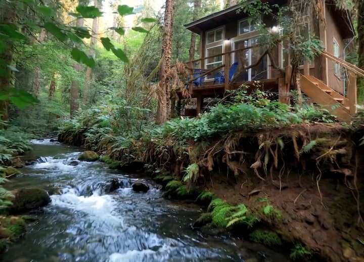 Sasquatch's Tiny Tree Home on Bear's Creek